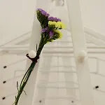 Апартаменты Arco Da Graca Downtown