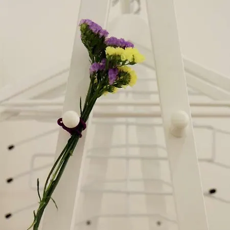 アパート Arco Da Graca Downtown